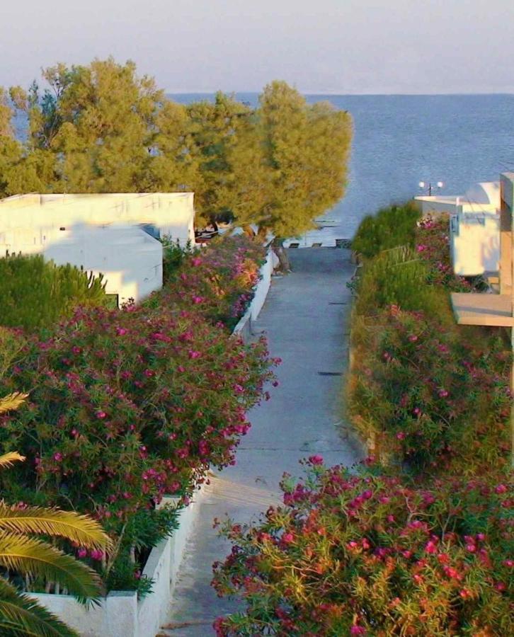Located By The Sea One Beachfront Private Captain Lazaros Pool Villa With Loft In 750Sqm Spacious Private Plot-Jacuzzi-Sunrelax-Furnished Terace-Gazebo-Private Parking,Sleep 3 Adults And 2 Children, Just Steps From The Black Beach-Seaview ペリッサ エクステリア 写真